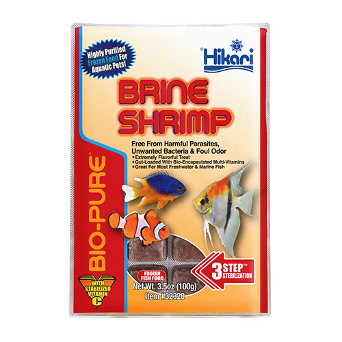 Brine Shrimp